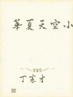 华夏天空小说网