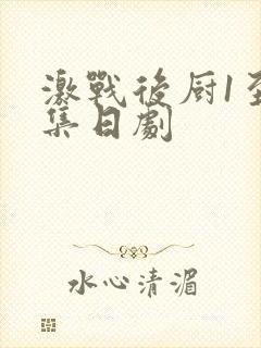 激战后厨1至5集日剧