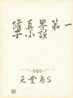 修真界第一病秧子小说