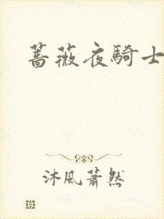 蔷薇夜骑士
