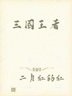 三国王者
