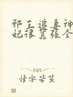 邪王追妻神医狂妃很嚣张全文免费