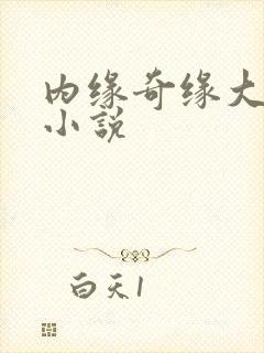 内缘奇缘大团圆小说