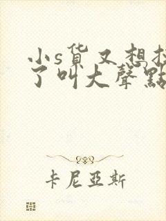 小s货又想挨c了叫大声点