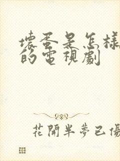 坏蛋是怎样炼成的电视剧