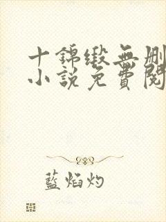 十锦缎无删原著小说免费阅读