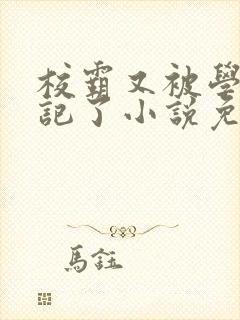 校霸又被学神标记了小说免费阅读