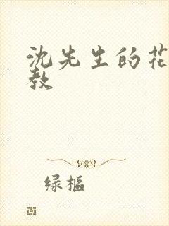 沈先生的花式管教