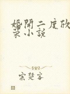 婚开二度欣欣向荣小说