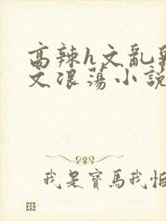 高辣h文乱乳h文浪荡小说苏柔