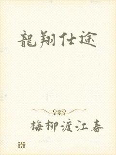 龙翔仕途