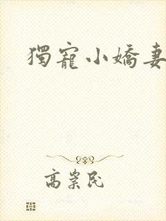 独宠小娇妻