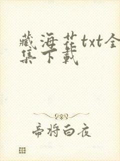 藏海花txt全集下载