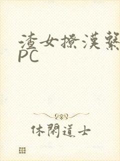 渣女撩汉系统NPC