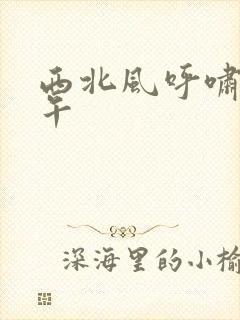 西北风呼啸的中午