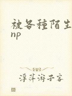 被各种陌生人 np