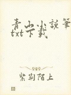 青山小说笔趣阁txt下载