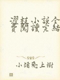 濯枝小说全文免费阅读完结