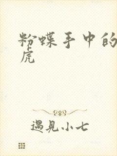 粉蝶手中的纸老虎