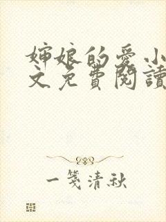 婶娘的爱小说全文免费阅读