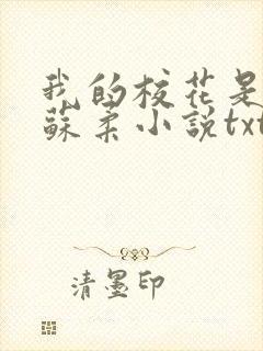 我的校花是福姬苏柔小说txt