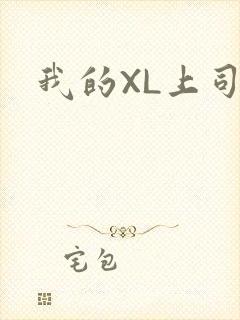我的XL上司