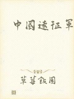 中国远征军小说