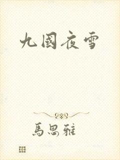 九国夜雪