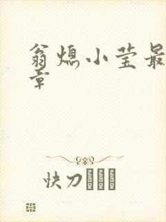 翁熄小莹最新节章