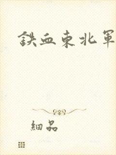 铁血东北军