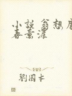 小说 翁想房中春意浓