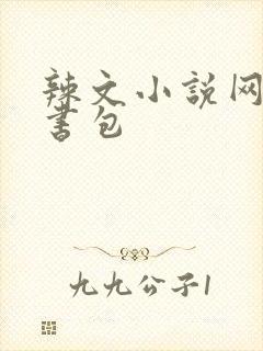 辣文小说网第二书包