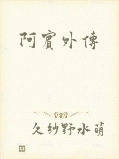 阿宾外传