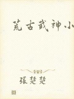 荒古武神小说