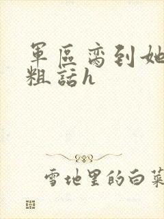 军区脔到她哭h粗话h