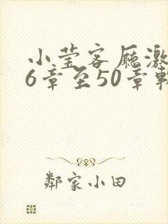 小莹客厅激情46章至50章软件介绍