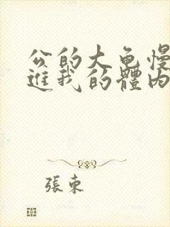 公的大龟慢慢挺进我的体内视频