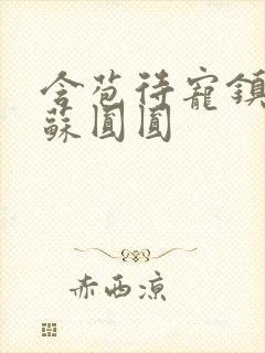 含苞待宠镇国公苏圆圆