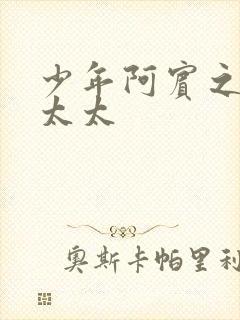 少年阿宾之房东太太