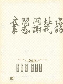 夜间网址你会回来感谢我的