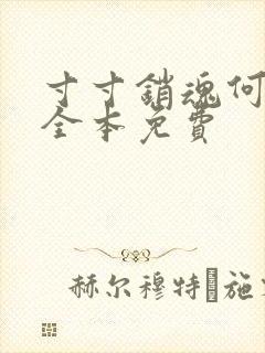 寸寸销魂何生祥全本免费