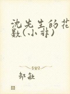 沈先生的花式调数(小非)