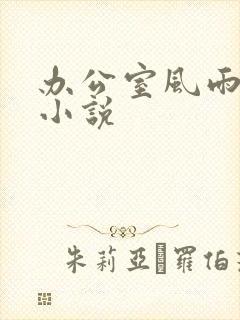 办公室风雨完整小说