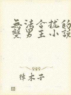 无法合拢的总裁双男主小说