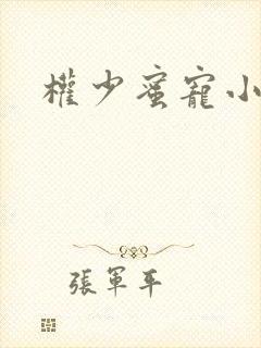 权少蜜宠小娇妻