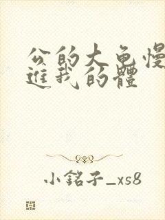 公的大龟慢慢挺进我的体