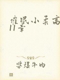 催眠小柔高达第11章