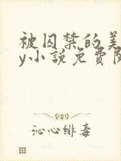 被囚禁的美人by小说免费阅读