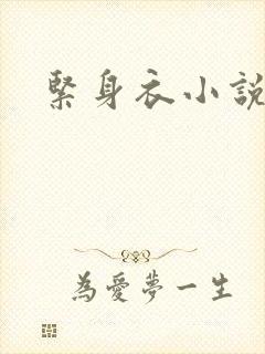 紧身衣小说