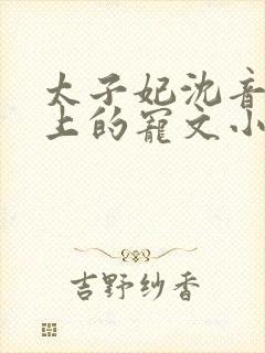 太子妃沈音和皇上的宠文小说